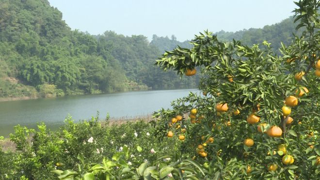“三重两保一底线”！朝阳湖镇这样做！IM电竞(图5)